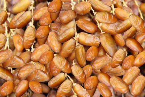 تصویر 5 از قیمت خرید خرما خاصویی شیره دار + فروش ویژه